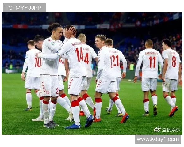 丹麦与爱尔兰足球赛现场直播精彩回顾与赛后分析